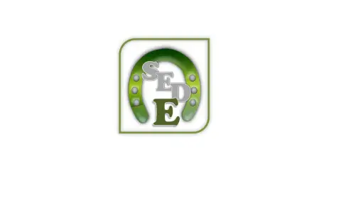 SEDE